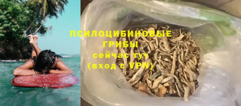 Псилоцибиновые грибы MAGIC MUSHROOMS  Югорск 